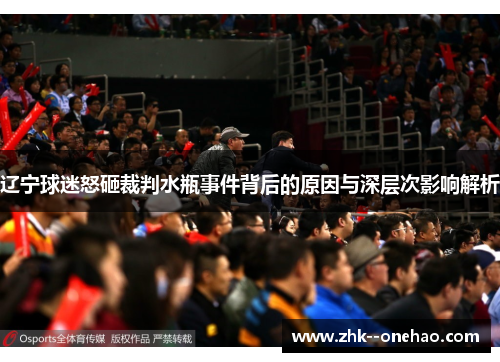 辽宁球迷怒砸裁判水瓶事件背后的原因与深层次影响解析